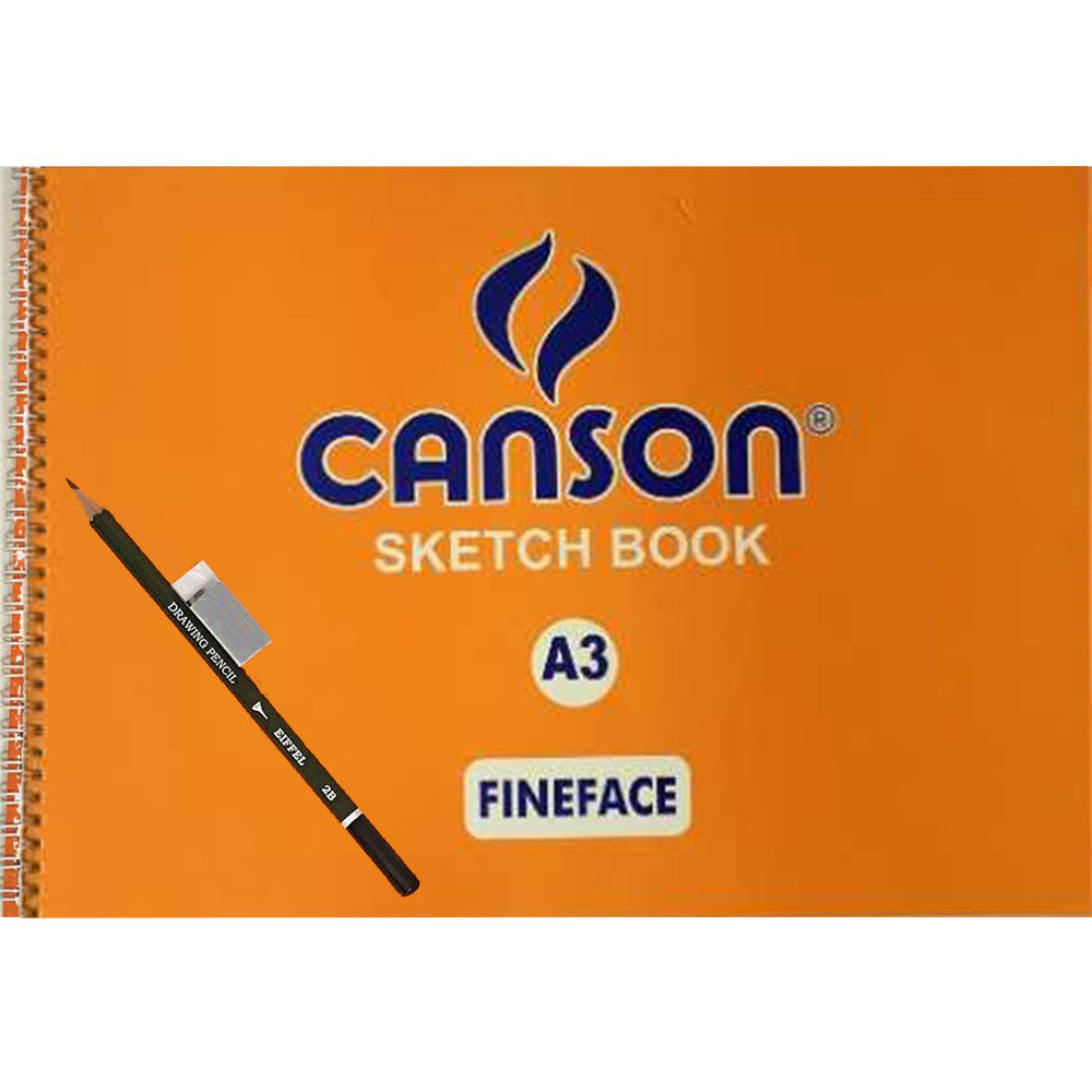 Canson Sketch Paper Roll - 43